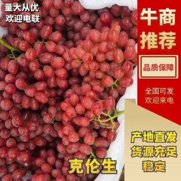 陕西雨棚克伦生颜色红颗粒大口感脆甜整车代发欢迎踩购。