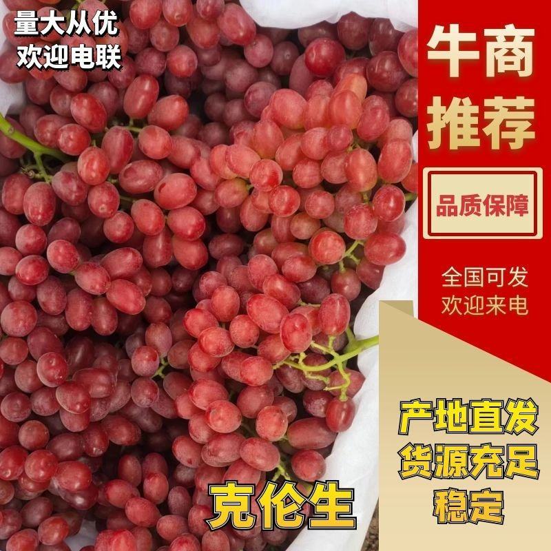 陕西雨棚克伦生颜色红颗粒大口感脆甜整车代发欢迎踩购。