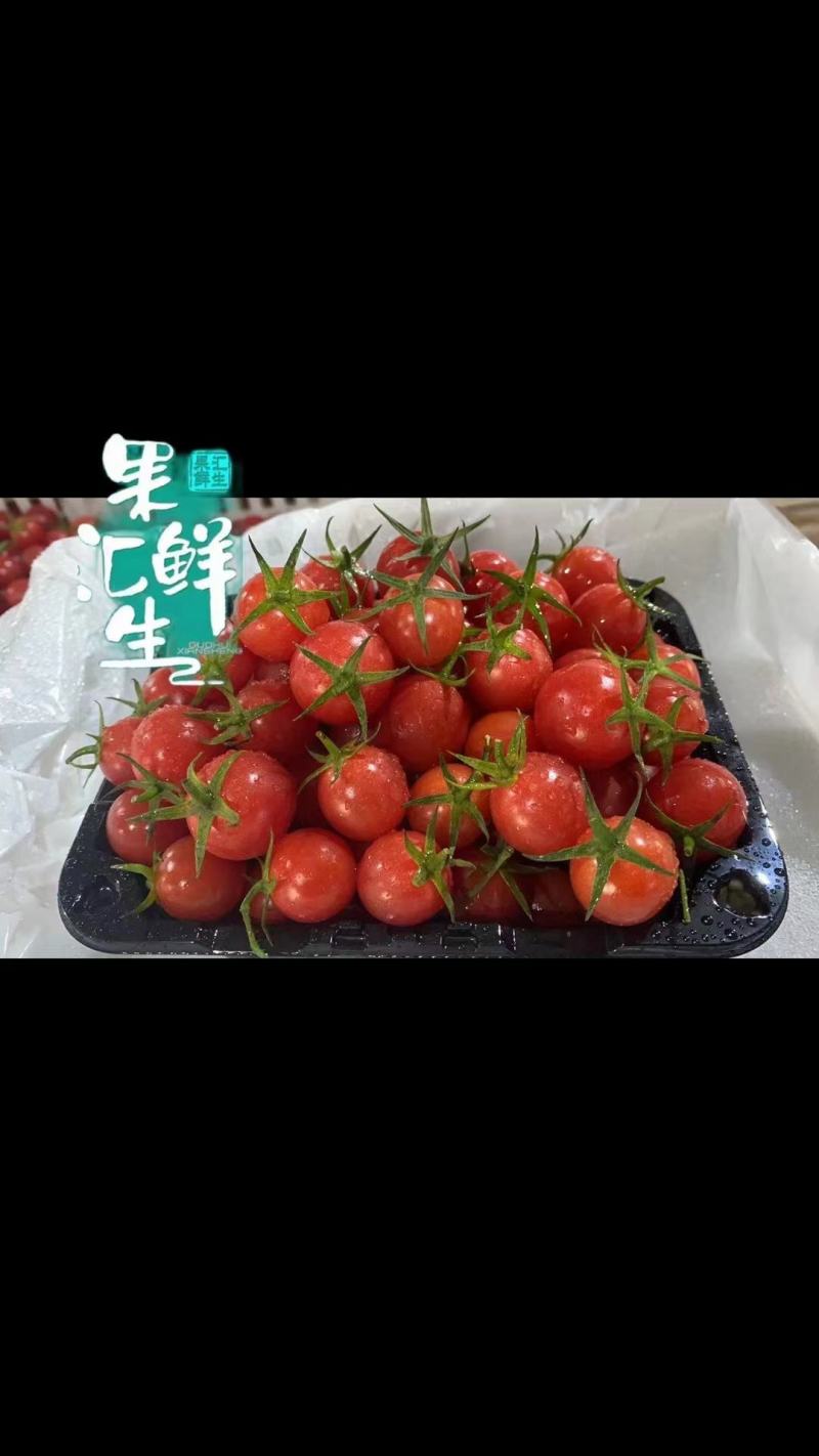 广东电白千禧圣女果超市社区团购电商平台一件代发
