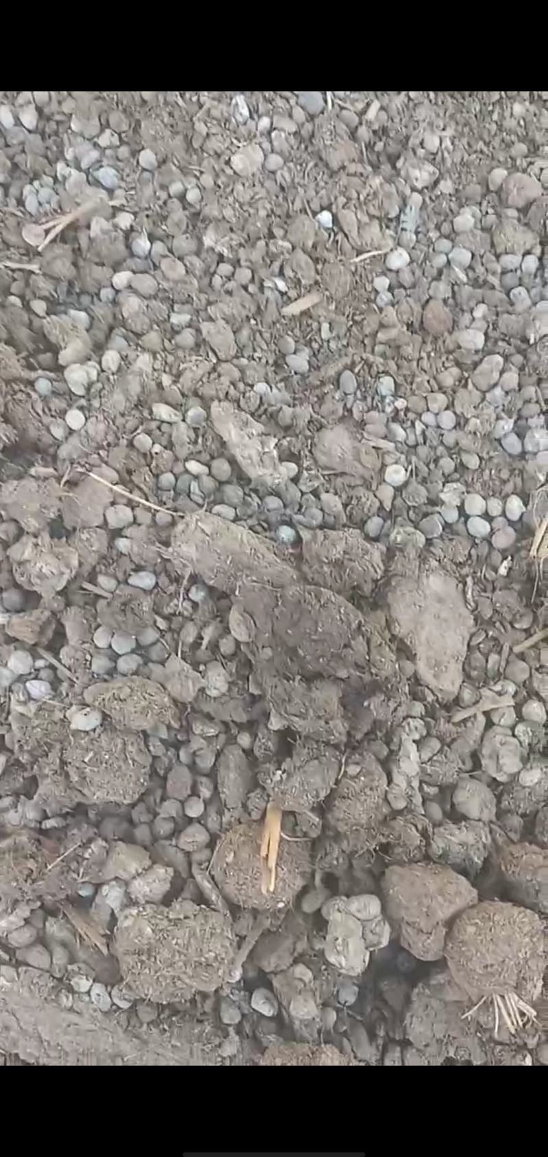 羊粪有机肥