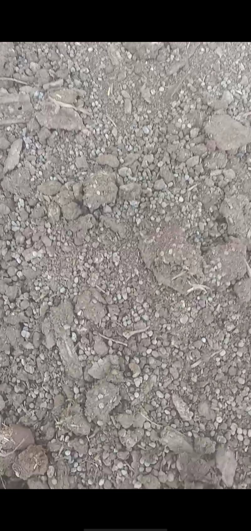 羊粪有机肥