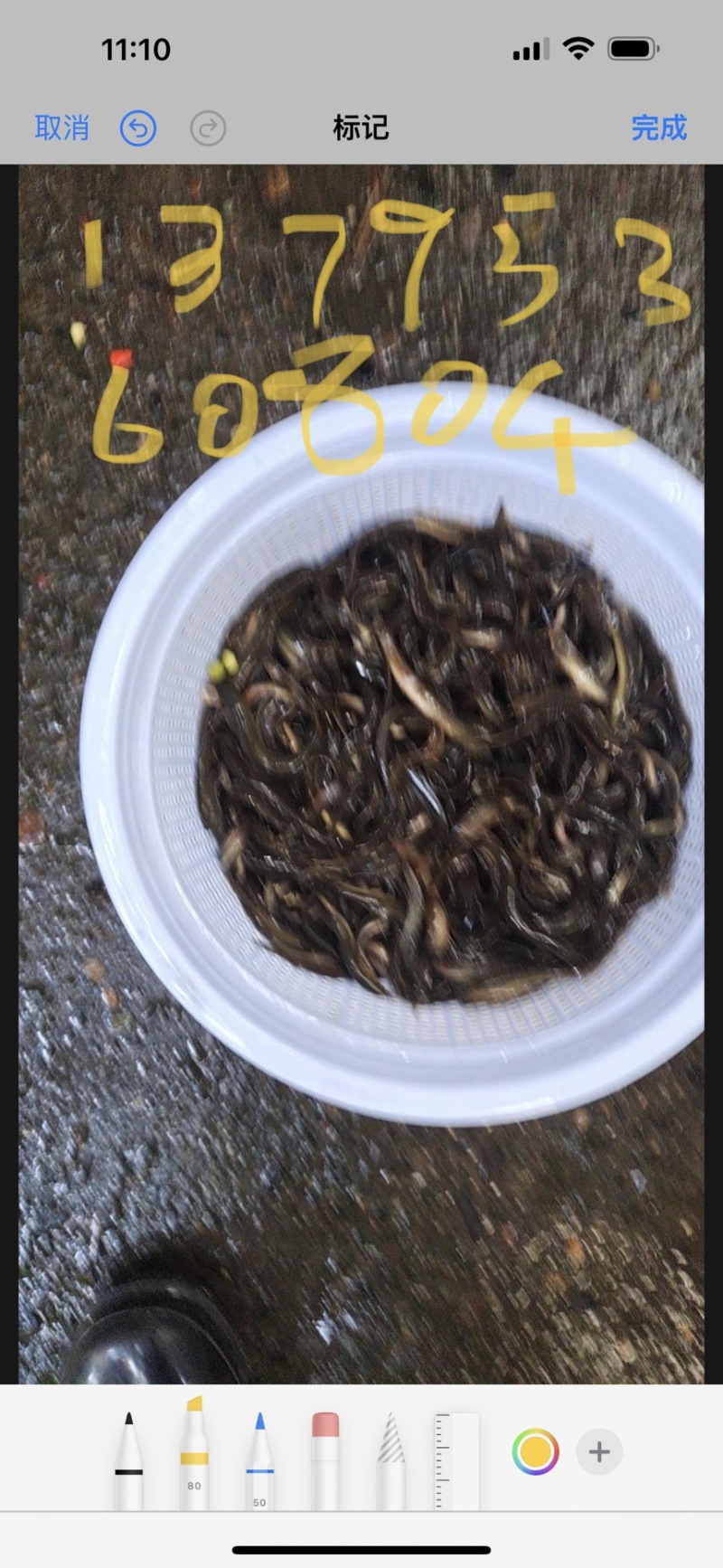 泥鳅