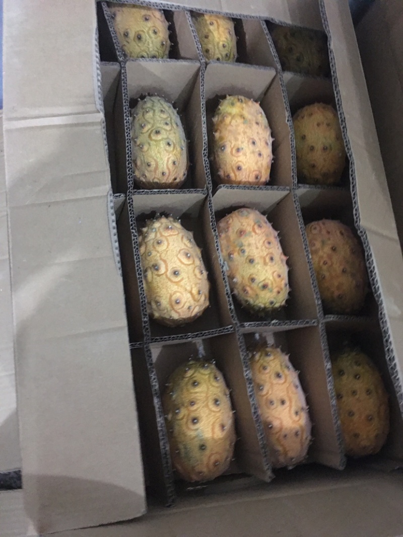 火参果刺角瓜