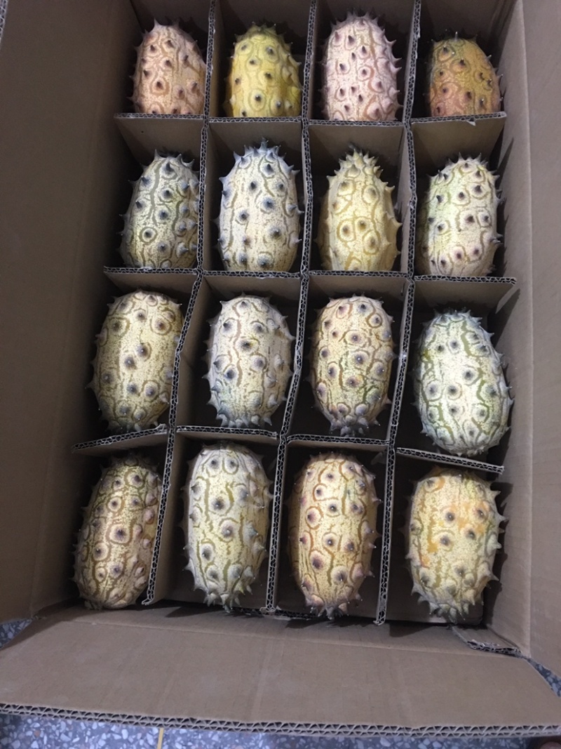 火参果刺角瓜