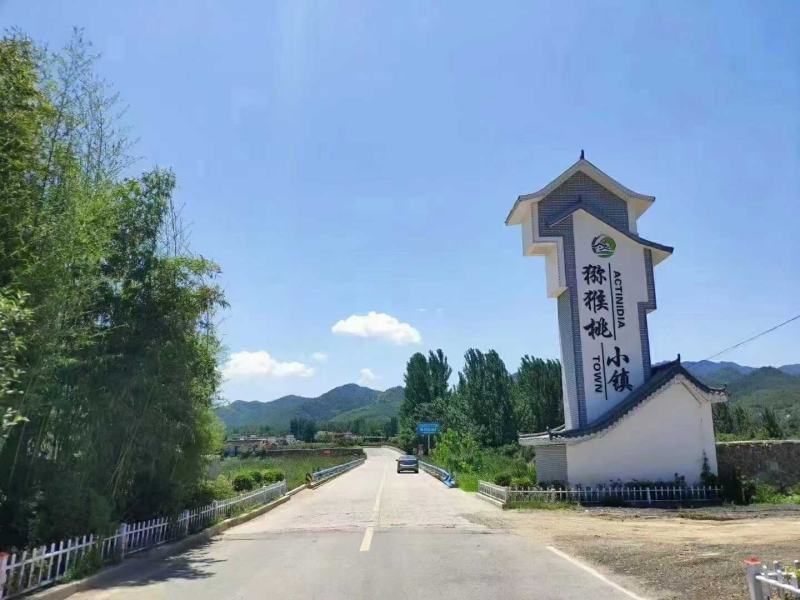 河南西峡黄心猕猴桃产地源头直发一手货源保质保量