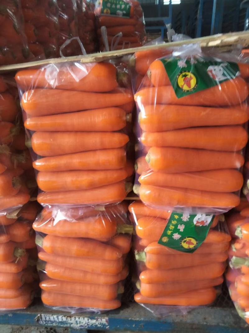 精品红萝卜三红胡萝卜加工各种规格商超电商对接一手货源