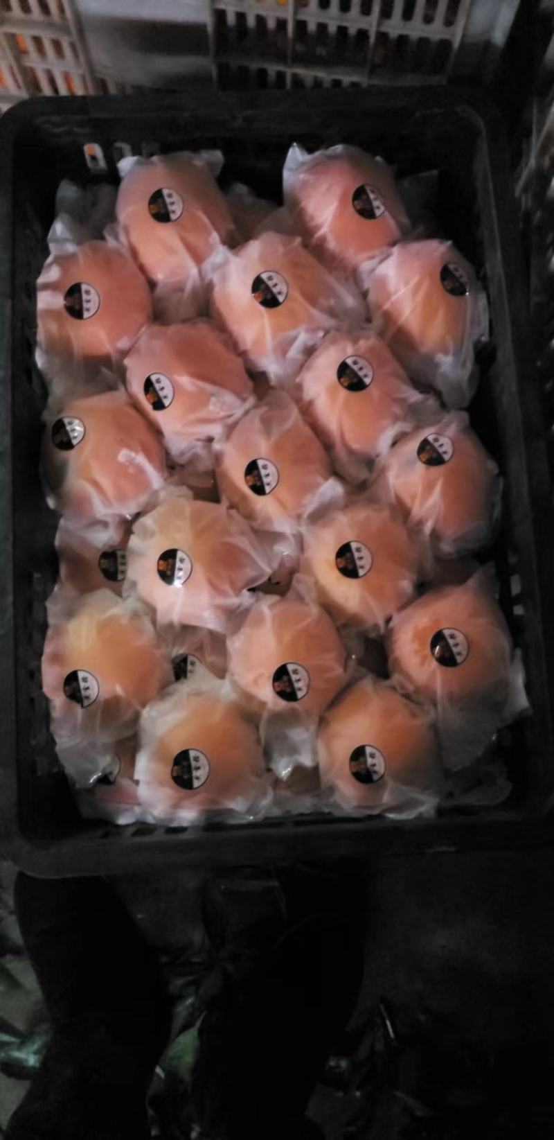 脐橙大量上市，对接市场社会团购电商，一手货源，诚信
