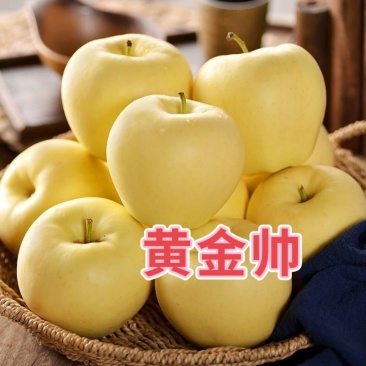 黄金帅苹果苗金冠苹果树黄元帅维纳斯黄金苹果树苗嫁接苗当年