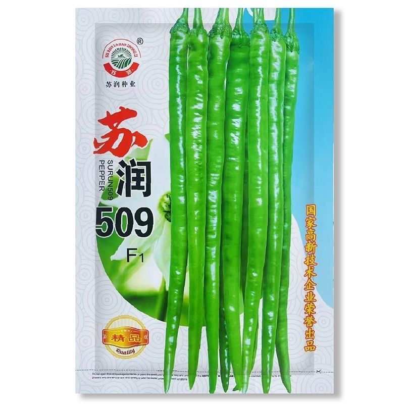 苏润509辣椒种子早中熟长条椒一代杂交高产优质良种抗病