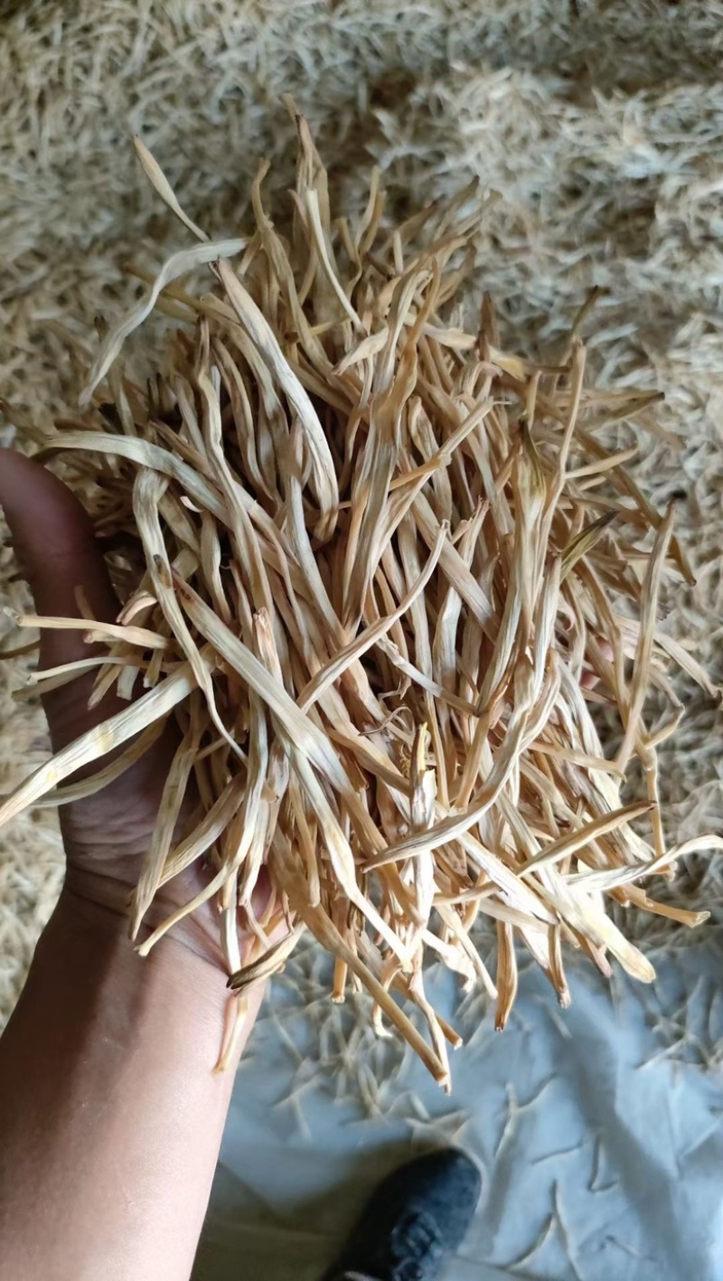 宁夏干白直黄花菜自产自销对接商超各大电商性价比高