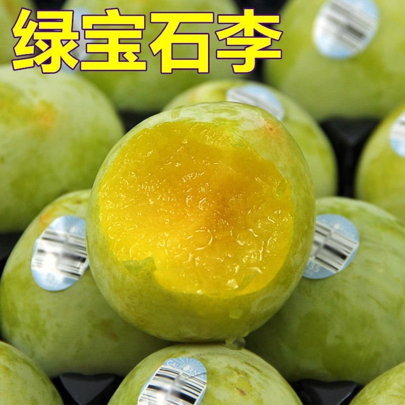 正宗绿宝石李子苗恐龙蛋脆甜绿布林嫁接李子树苗南方北方种植