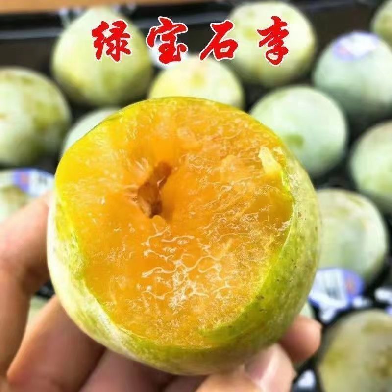 正宗绿宝石李子苗恐龙蛋脆甜绿布林嫁接李子树苗南方北方种植