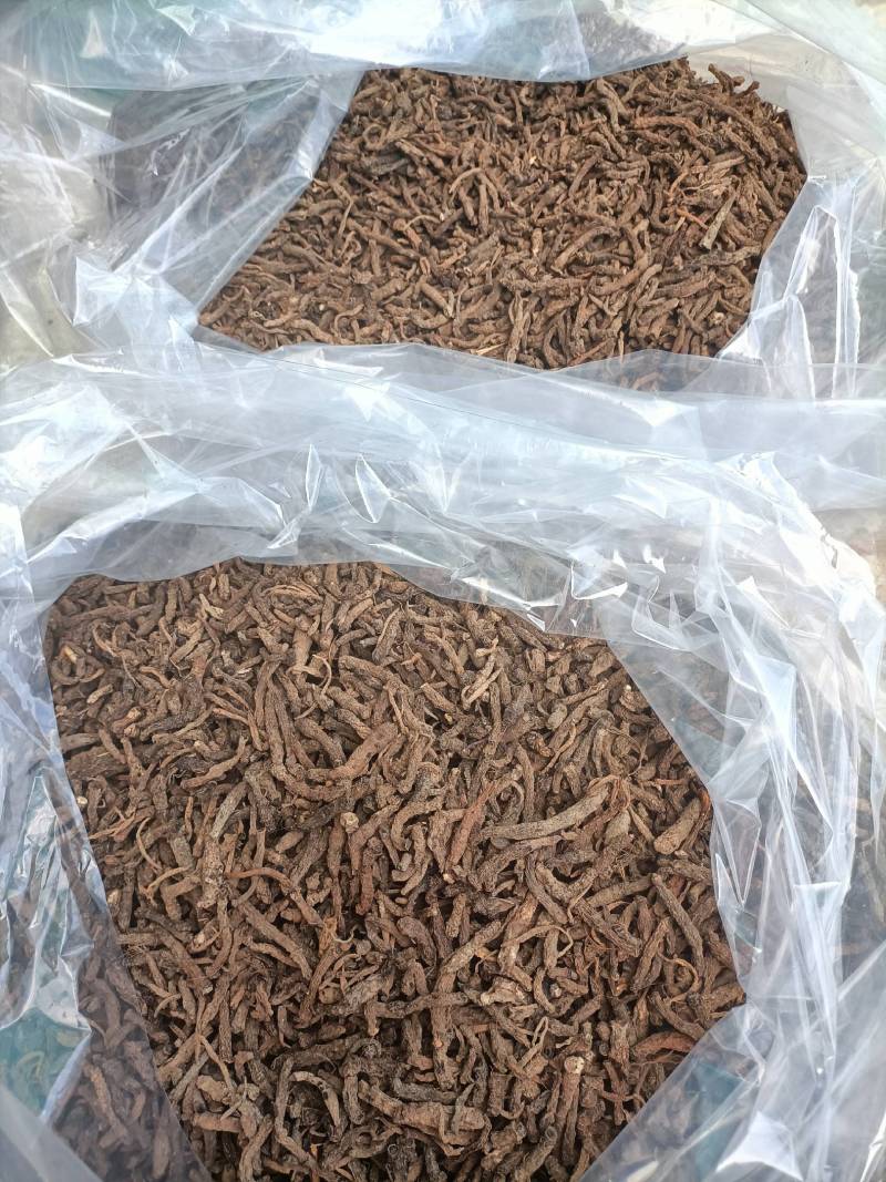 仙茅小棕根小叶品质保证量大从优