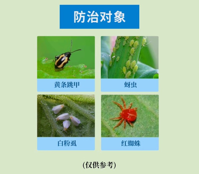 顾地丰甲四方呋虫哒螨灵白粉虱红蜘蛛螨虫黄条跳甲杀虫剂