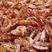 明虾干烤虾干多规格批发质量保证新货上市欢迎咨询