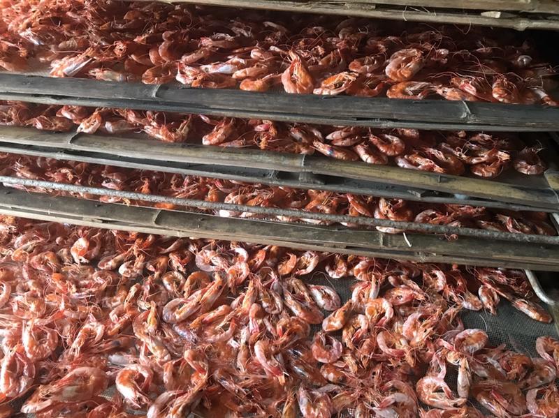 明虾干烤虾干多规格批发质量保证新货上市欢迎咨询