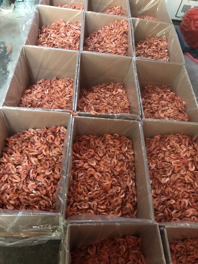 明虾干烤虾干南美白虾干多规格批发质量保证新货上市欢迎咨询