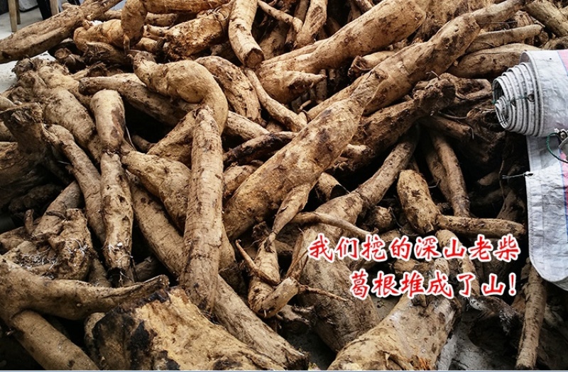 深山农家野生柴葛根粉500克装大量有货可批发可零售