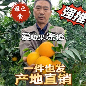 爱媛果冻橙四川橙支持代发视频看货市场代办社区团购抖音电商