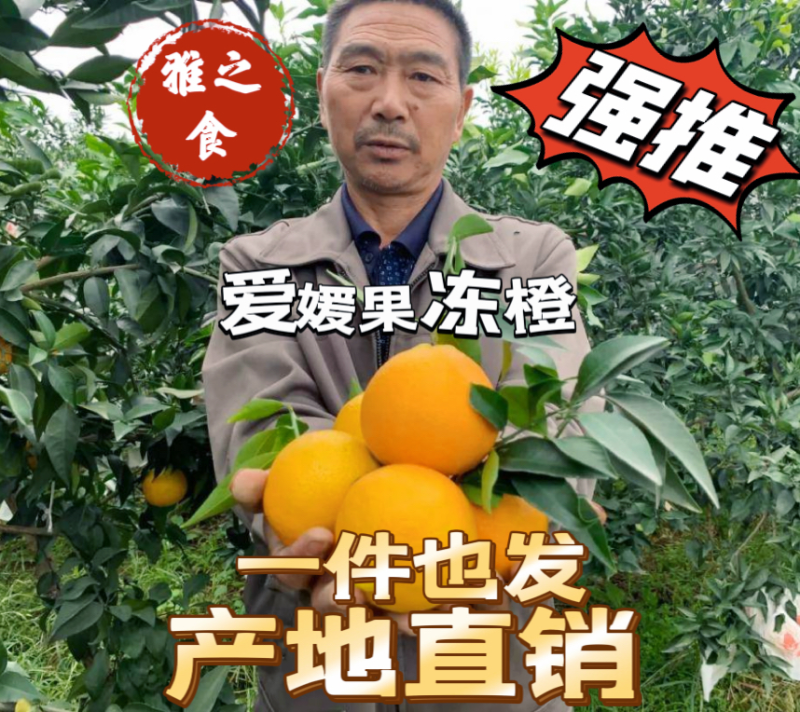 爱媛果冻橙四川橙支持代发视频看货市场代办社区团购抖音电商
