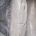 国产肥猪无油无毛无冰纯干干净精修猪脊皮大量接单全国发货