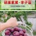 新品种美人醉李子苗特大离核李子嫁接苗盆栽地栽庭院南北