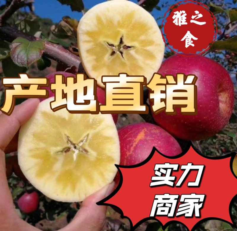 四川盐源丑苹果支持代发视频看货市场代办社区团购抖音电商