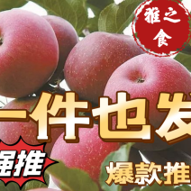 四川大凉山盐源苹果电商社区团购一件代发整车空运
