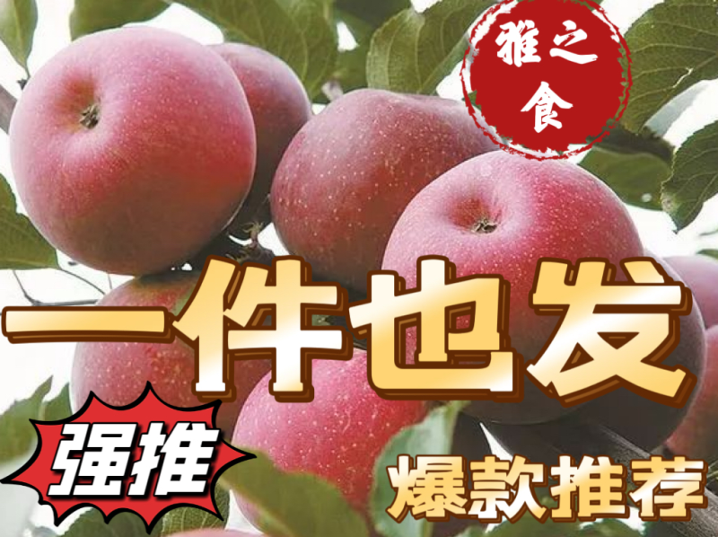 四川大凉山盐源苹果电商社区团购一件代发整车空运
