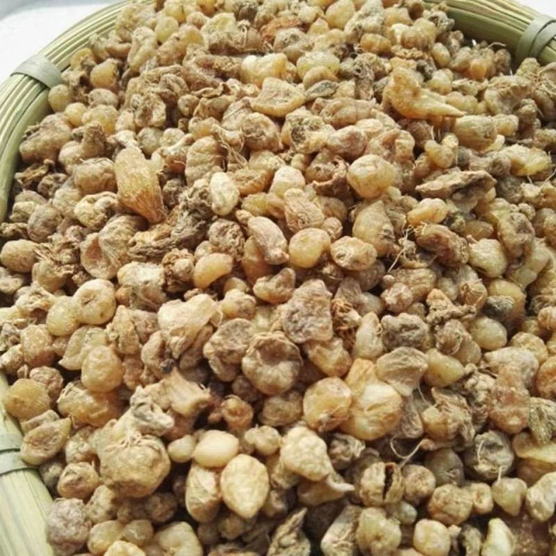 毛慈菇干货