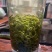 和平手工茶，高山绿茶，回甘是清明时节采制