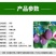嫁接李子树苗特大红巨王李子果树苗南北方种植盆栽地栽庭院种