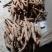 广西牛大力