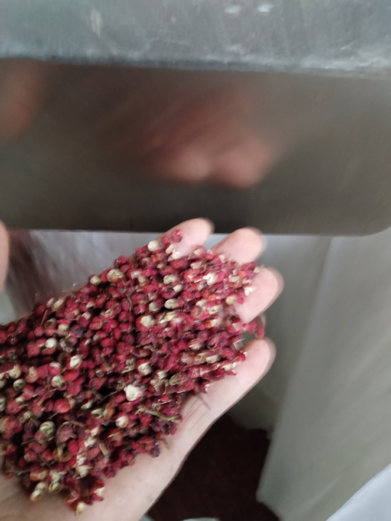 大红袍花椒陕西渭南市华州埲塬农付产品合作社长年有货