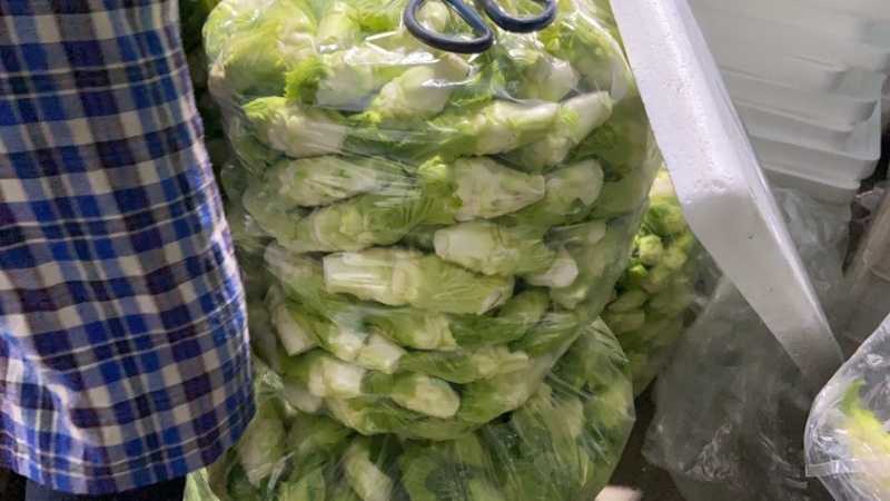 四川特菜精品小儿菜