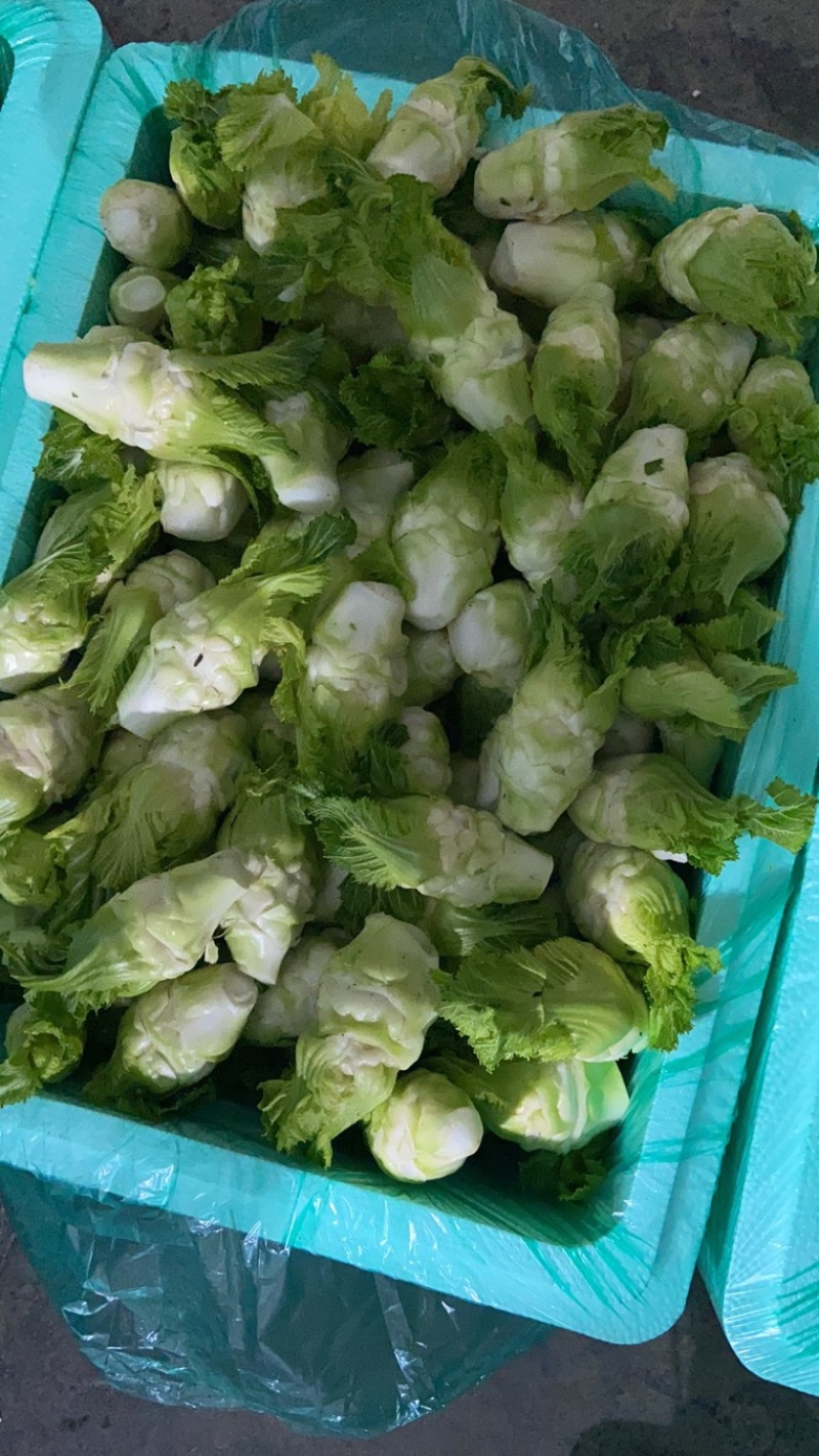 四川特菜精品小儿菜