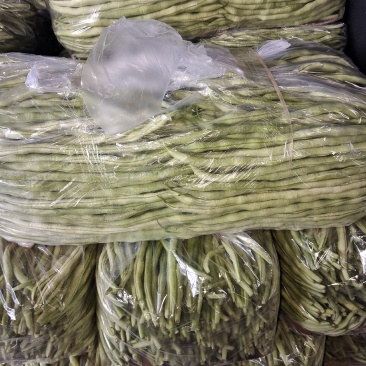 白豆角，白条豆角豆王产地直供量大从优全国发货