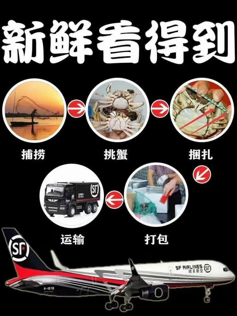 螃蟹