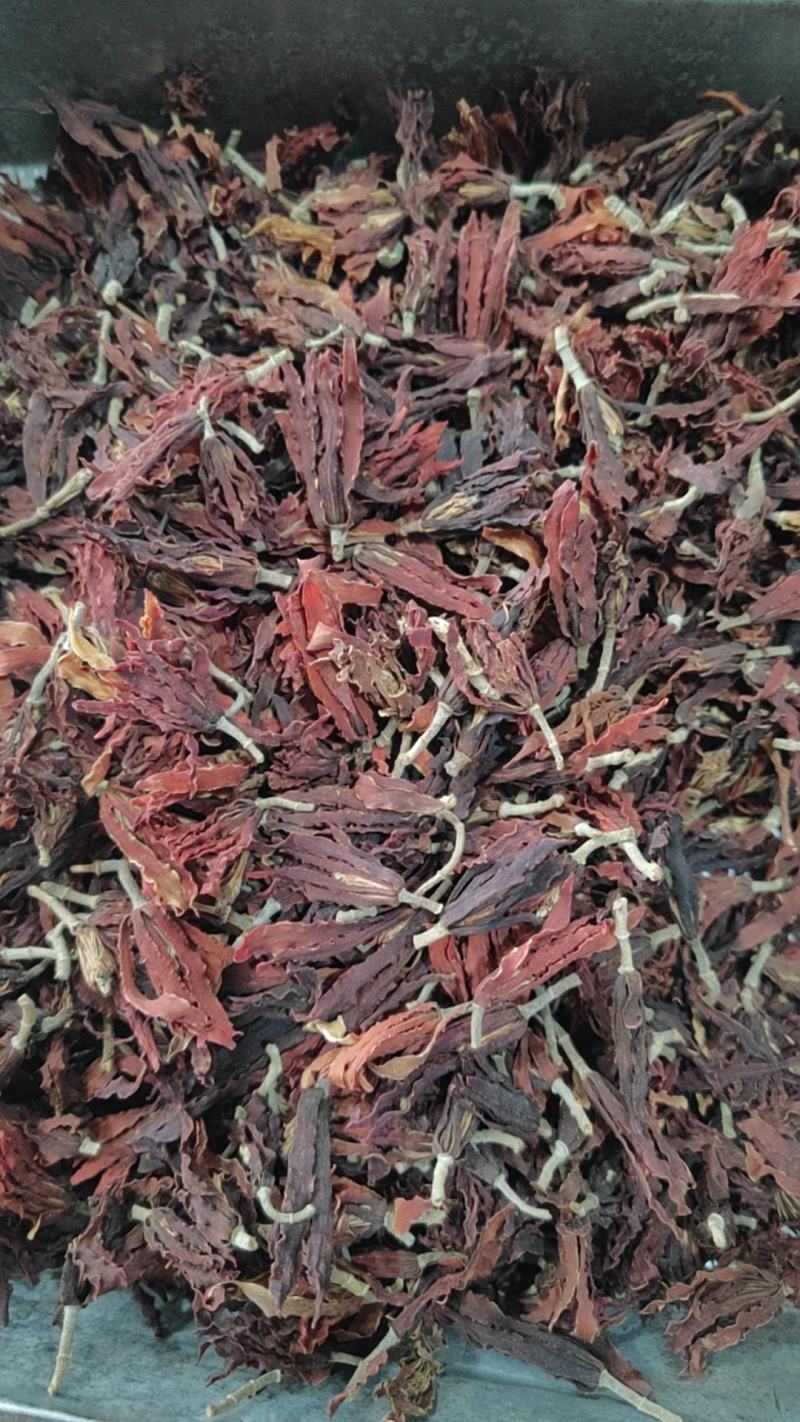 玉兰花干货玉兰花量大从优欢迎选购！