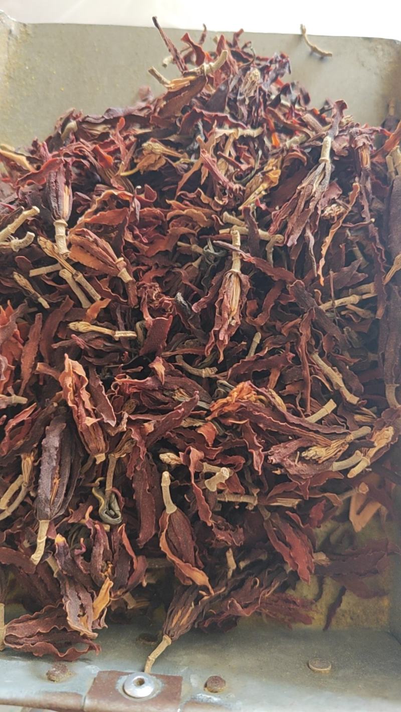 玉兰花干货玉兰花量大从优欢迎选购！