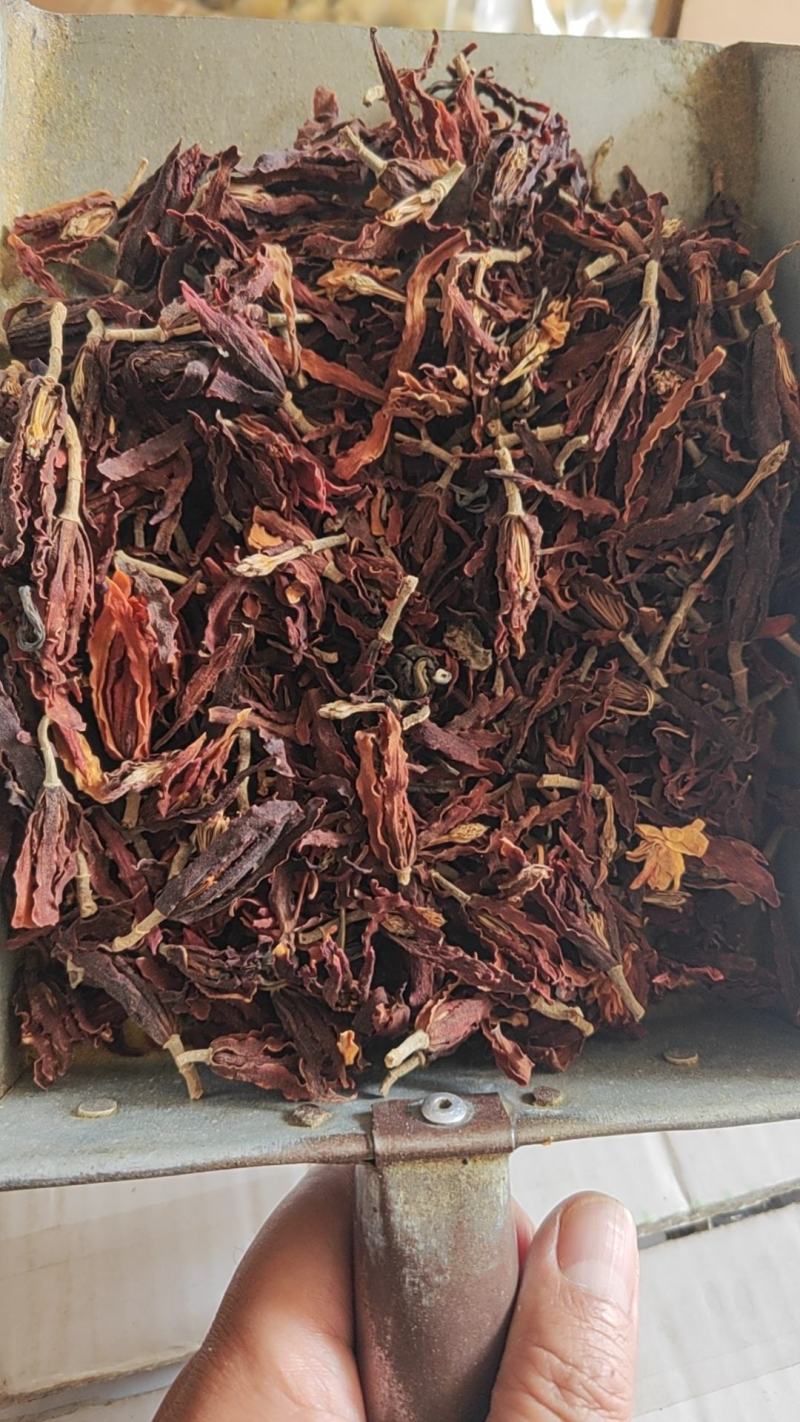 玉兰花干货玉兰花量大从优欢迎选购！