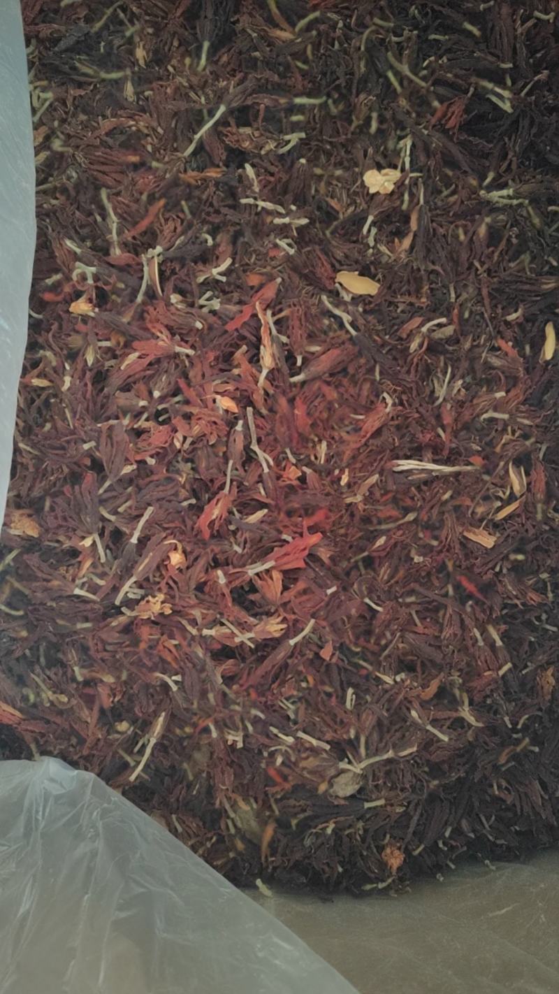 玉兰花干货玉兰花量大从优欢迎选购！