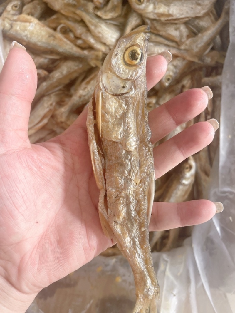 翘嘴展会地摊开肚油炸翘嘴鱼干干鱼蓝刀白肖鱼叼子鱼干