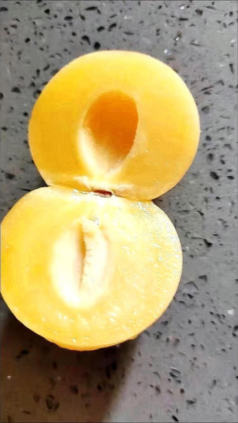 石林人参果