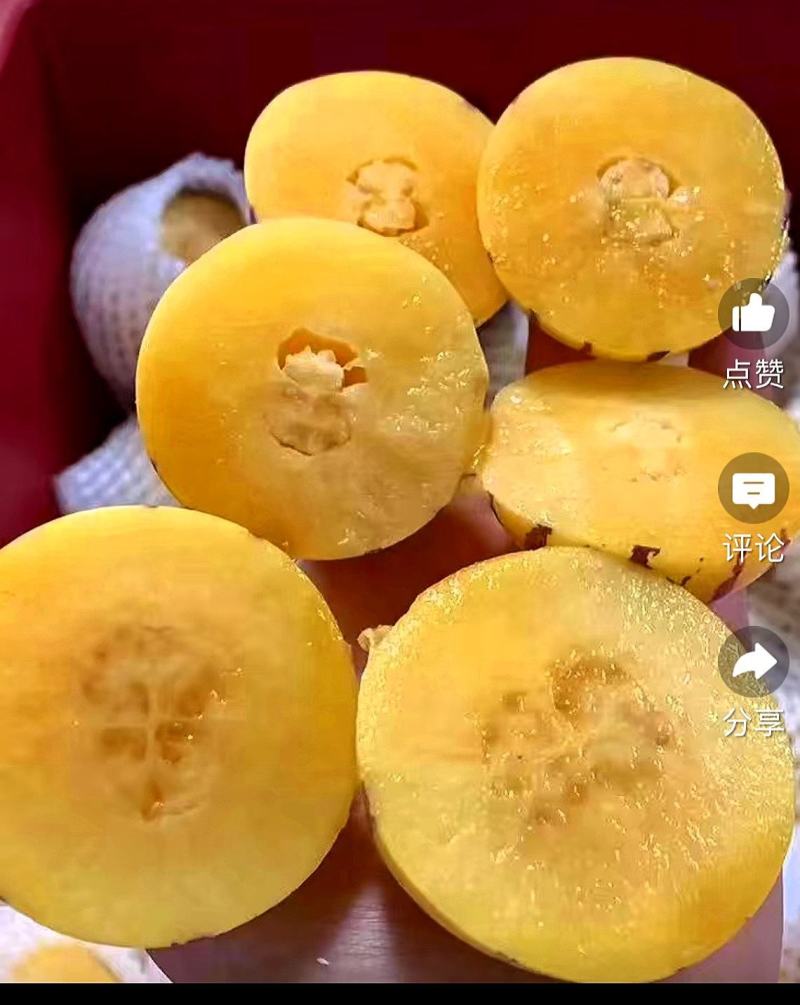 石林人参果