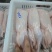 【推荐】精品白条鸭，肉质鲜嫩，品质保证支持视频看货