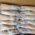 【推荐】精品白条鸭，肉质鲜嫩，品质保证支持视频看货