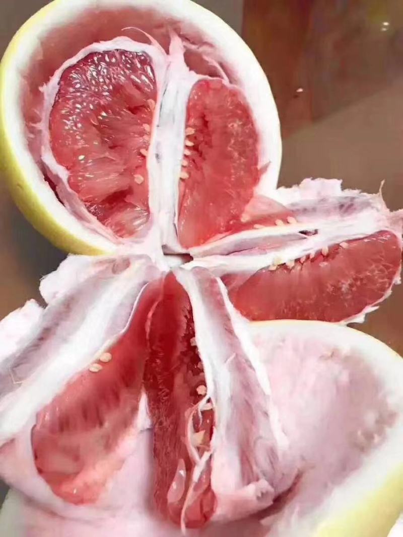 柚子/红心蜜柚/红乳蜜柚/琯溪红柚/柚子产地批发