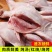 大放血现杀母鹌鹑去内脏活体现杀新鲜白条鹌鹑肉乳鸽烧烤炖汤