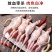 大放血现杀母鹌鹑去内脏活体现杀新鲜白条鹌鹑肉乳鸽烧烤炖汤